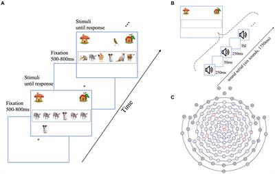 Modality-specific impacts of distractors on visual and auditory categorical decision-making: an evidence accumulation perspective